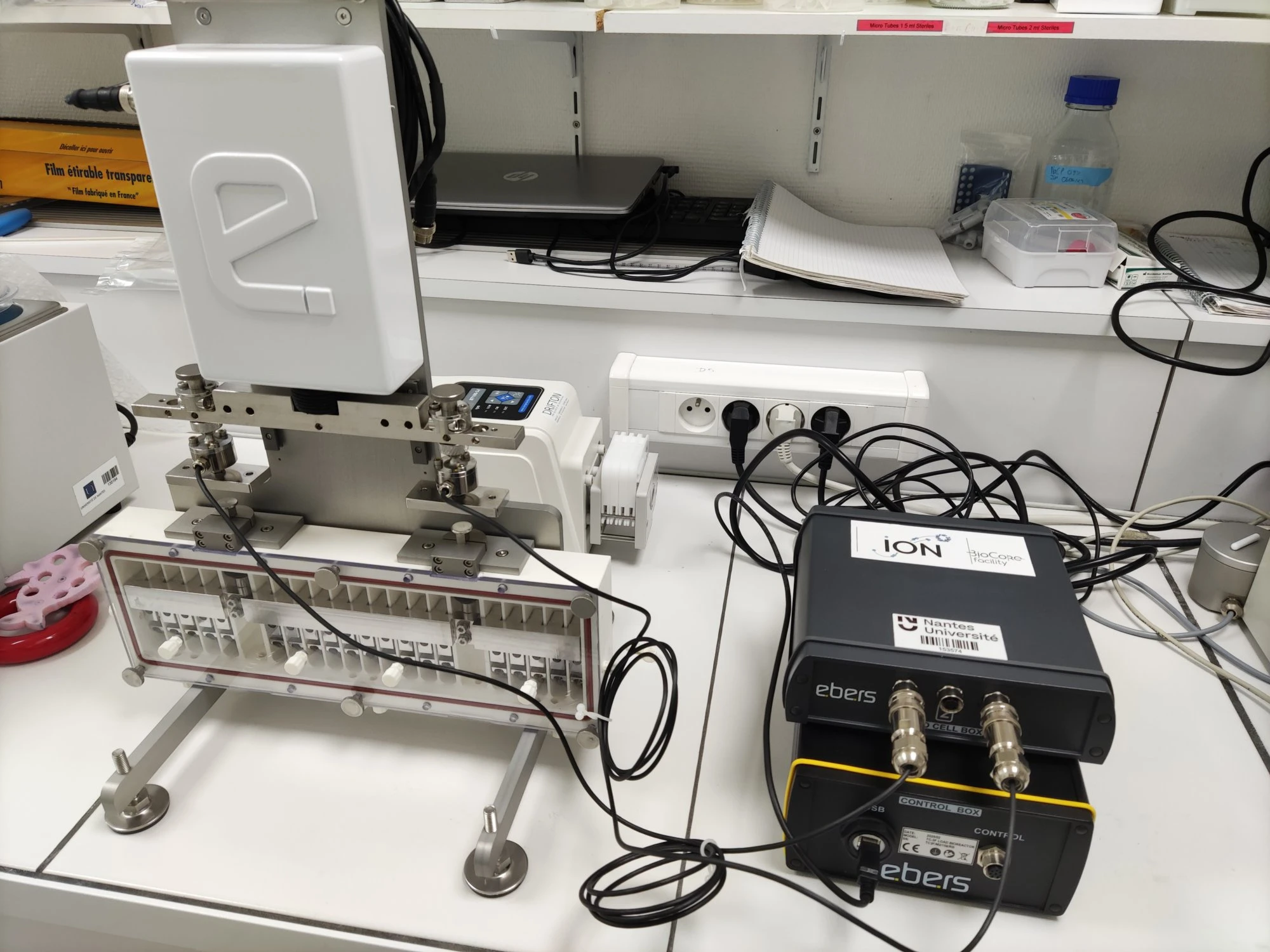 bioreacteur