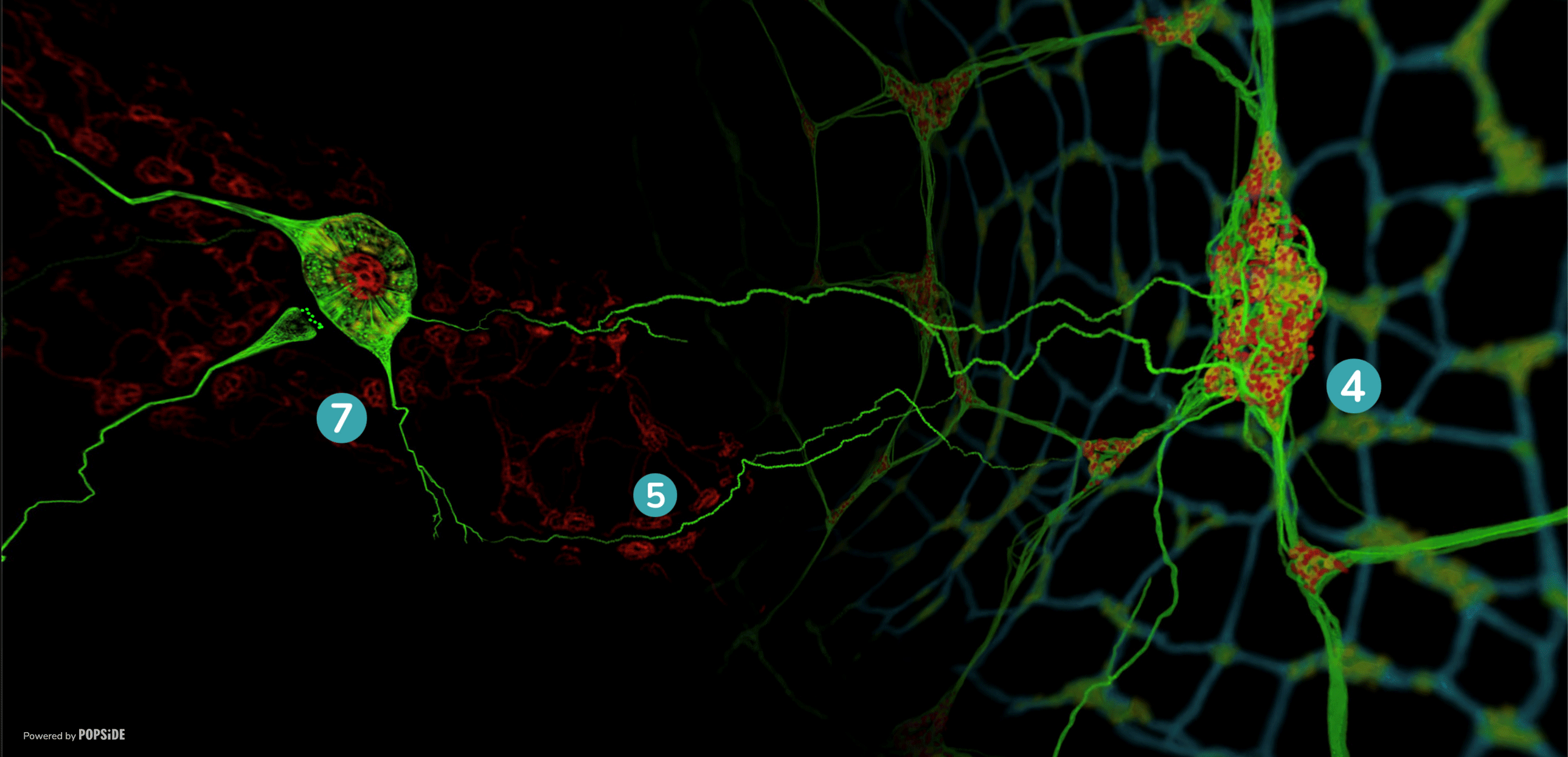 Utopiales 2025 : présence de la capsule immersive 