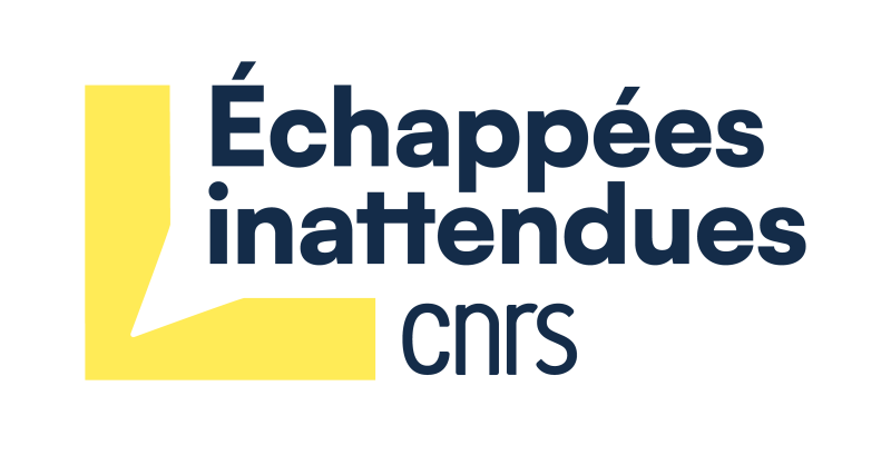 Conférence immersive : Lumière sur les cellules - scènes du vivant microscopique