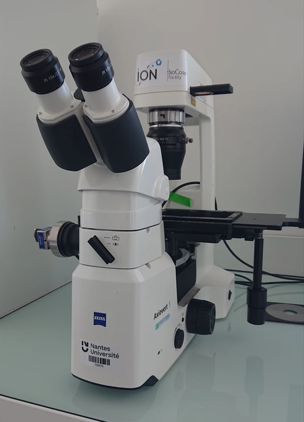 microscope inversé