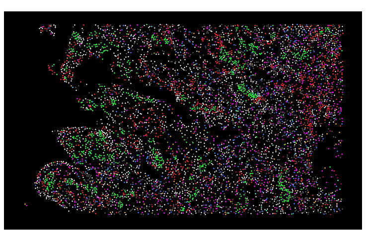illustration transcriptomique